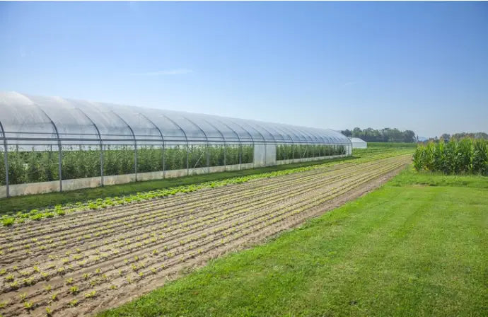 Agricultural Building